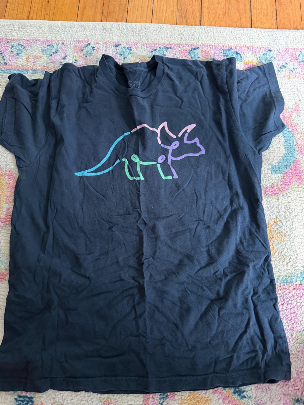 Try guys Women's Graphic Tee with Pastel Triceratops